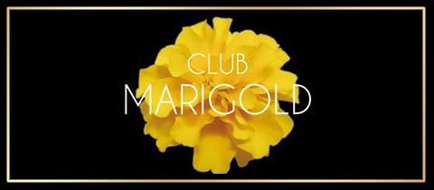 CLUB MARIGOLD